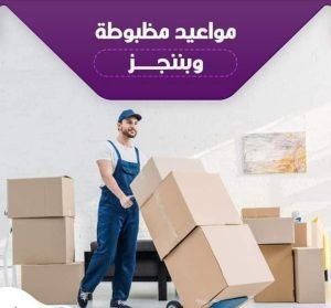 شركات نقل اثاث بالعباسية